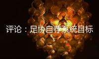 评论：足协自荐系统目标需更加明确