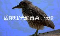 话你知/光储直柔：低碳建筑秘籍