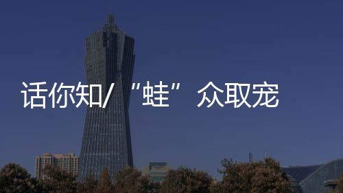 国爆一手拿着个大喇叭