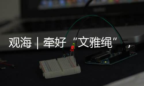 养犬不只是观海道德问题