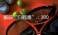 解码“白鹤滩”
：300米级大坝无一毫米级温度裂缝