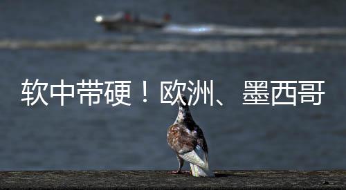 欧洲、软中软中带硬