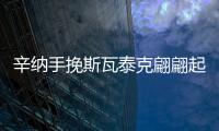 辛纳手挽斯瓦泰克翩翩起舞	，谢淑薇冠军梦碎，王紫莹成温网双冠王