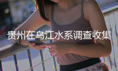 乌江隶属6目21科72属