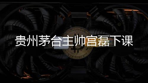 主帅因为宫磊精通法语