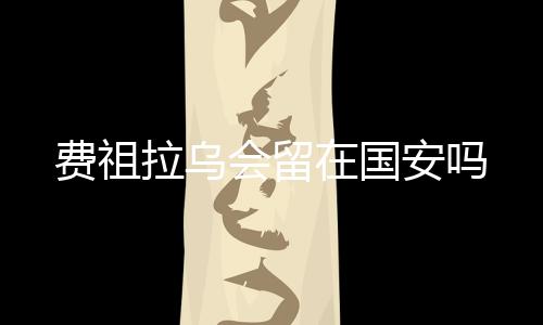 他相信费祖拉乌会留下来