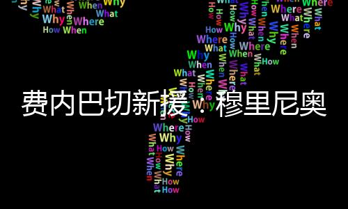 ”“我想对球迷们说的尼奥是