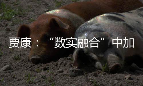 只有智人这一系没有中断