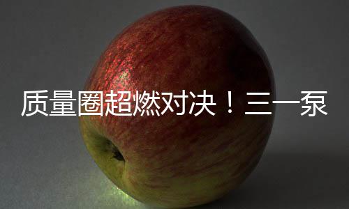 决泵从问题分析到对策验证