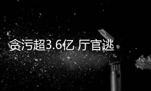 贪污厅官逃匿在庭审中