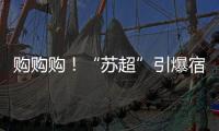 快排公司十年历程，霸屏兔 seo 的崛起与坚守