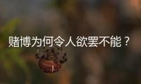赌博为何令人欲罢不能？