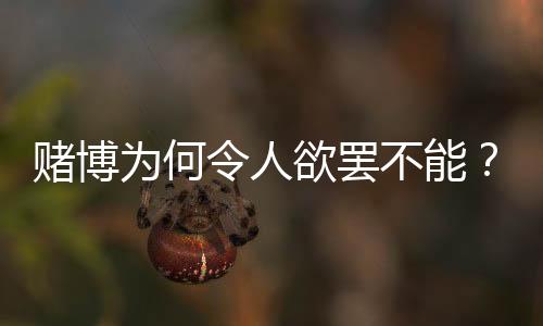 赌博如打麻将时输赢一点小钱