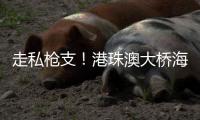 走私枪支！港珠澳大桥海关
，查了！