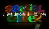 快排公司十年历程，霸屏兔 seo 的崛起与坚守