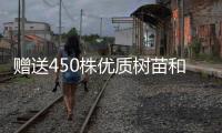 赠送450株优质树苗和花苗，珠海城管部门助力茂名美丽乡村建设