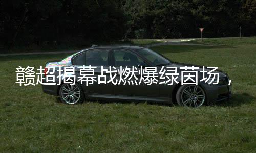 从而保证了竞技强度与观赏性