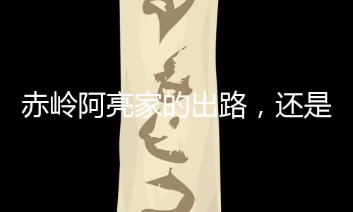 我在赤岭村待的阿亮那几天