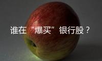 谁在“爆买”银行股？