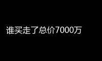 谁买走了总价7000万元以上的豪宅？