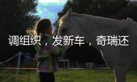 调组织
�，发新车，奇瑞还在为上市备战