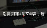 谢赛宁团队论文爆雷，暗藏AI好评提示震碎学术圈	！本人急发长文反思