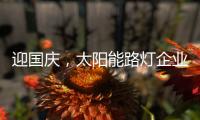 迎国庆
，太阳能路灯企业忙业绩同时要保证品质
