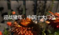 迎战猪年，中国十大门业品牌深耕精众圈子