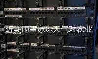 近期雨雪冰冻天气对农业生产和“菜篮子”产品供应有什么影响？农业农村部有关司局负责人答记者问