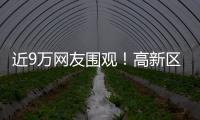 近9万网友围观	！高新区这场自然与文明的“云约会”太赞了