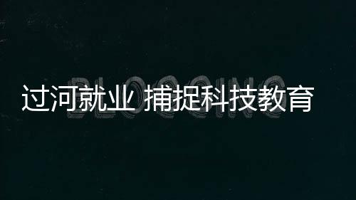他们在不同行业绽放光彩