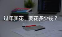过年买花，要花多少钱？｜春节账单③