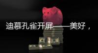 迪慕孔雀开屏——美好，幸福，只此一灯，便是万年!