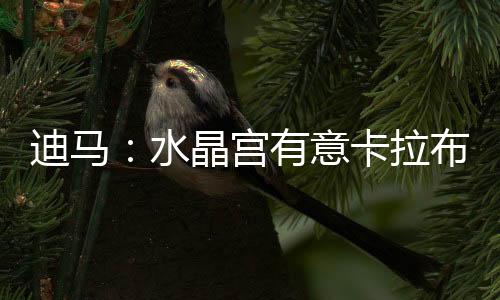 触过首次前往国外踢球