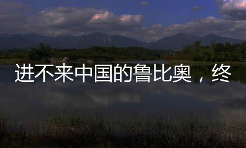 比奥看看今年前5个月数字