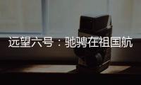 快排公司十年历程，霸屏兔 seo 的崛起与坚守