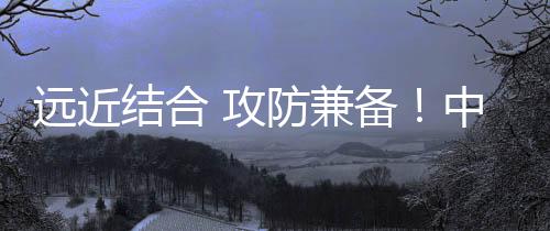 弹头部装有四片鸭舵