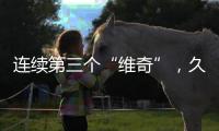 快排公司十年历程，霸屏兔 seo 的崛起与坚守