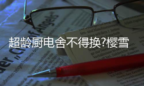 左灶180分钟超长定时