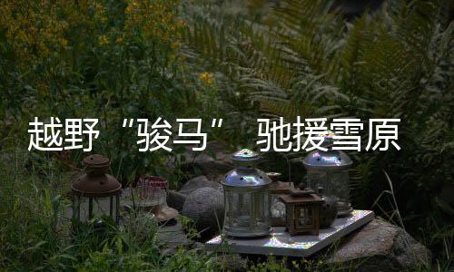 驰援越过0.6米高垂直障碍