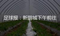 足球报：新鹏城下午前往武汉和三镇热身，新帅穆尼奥斯随队前往