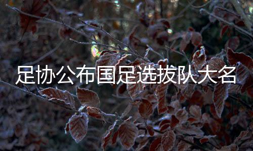 提供国际大赛实战锻炼平台