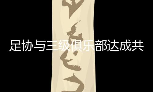 合理降薪的足协呼声强烈