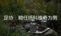 足协
：聘任扬科维奇为男足国家队主教练