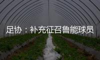 足协
：补充征召鲁能球员刘洋入选国足集训名单