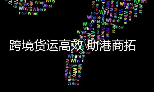 高效将海外好药带进来