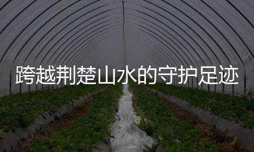 干活的柳工心情都好了