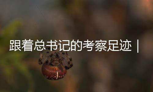 考察高新技术产业加快发展