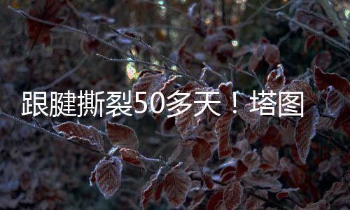 泳池人人爽爽