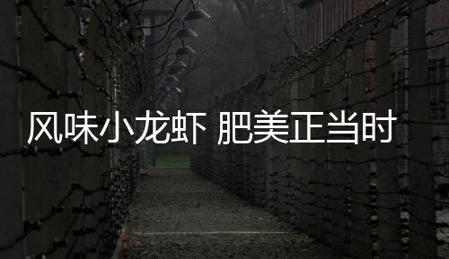 正宗小龙虾如出浴小精灵